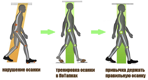 Тренажёр для осанки ПоТапки